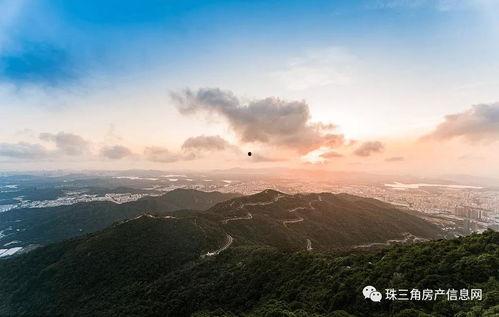 香港新冠最新爆料电话  第3张